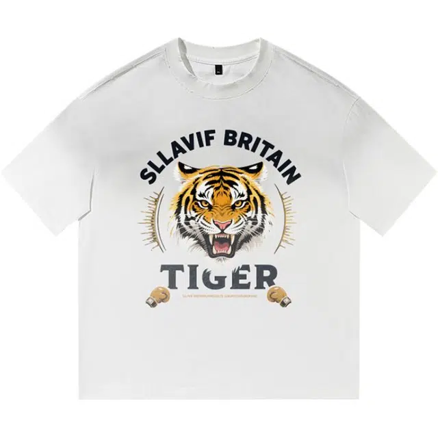 SLLAVIF T