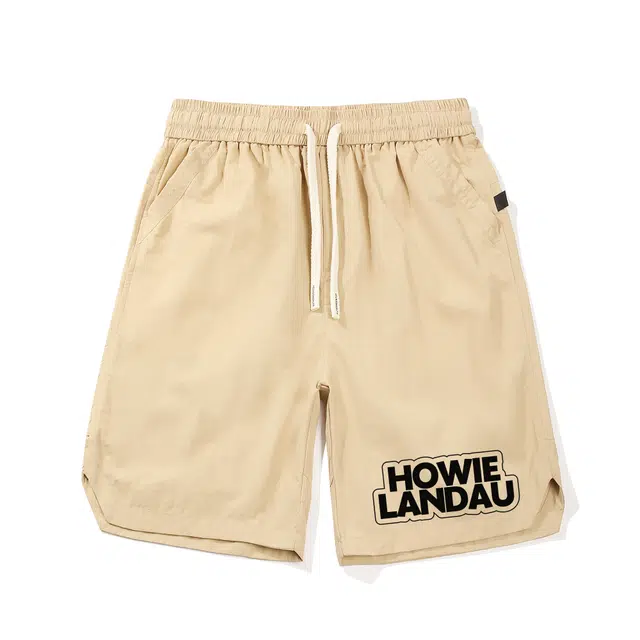 HOWIE LANDAU Logo