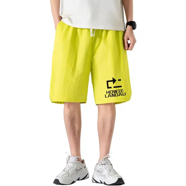 HOWIE LANDAU Logo