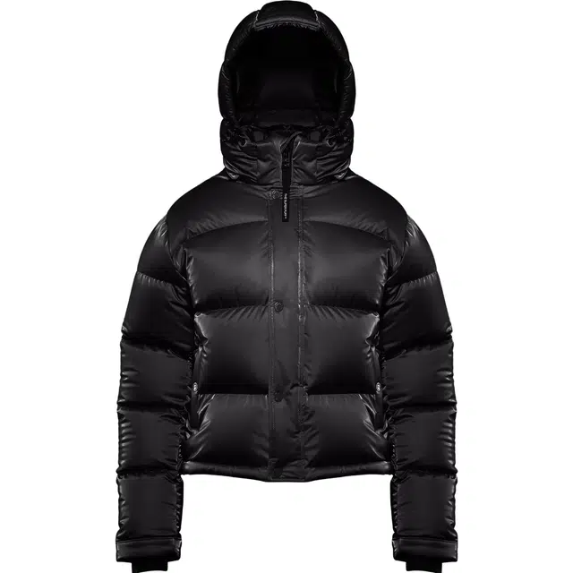 ARITZIA Super Puff Liquid Shine Shorty