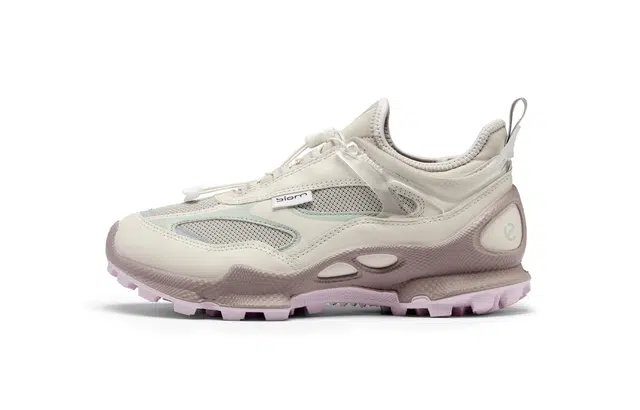 ecco Biom C Trail