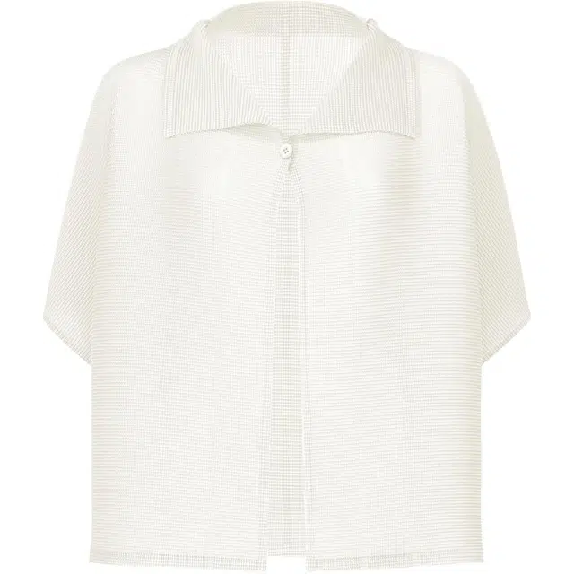 ISSEY MIYAKE FW25
