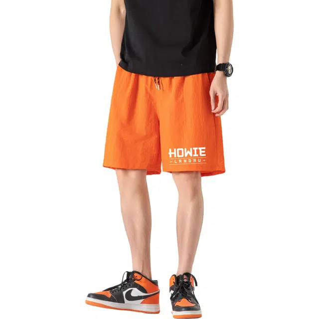HOWIE LANDAU Logo