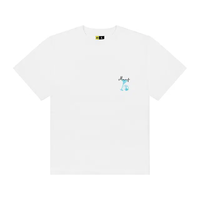 MMNF LAB T