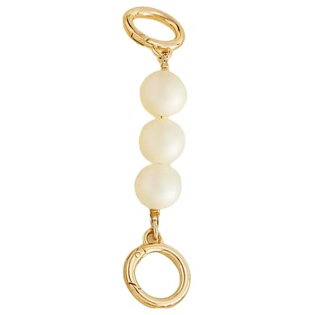 jingxi coachnolita20