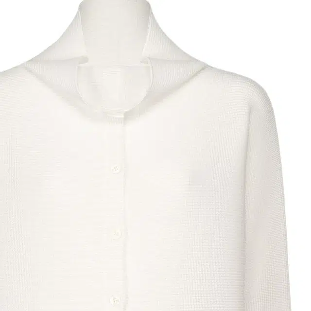 ISSEY MIYAKE FW25