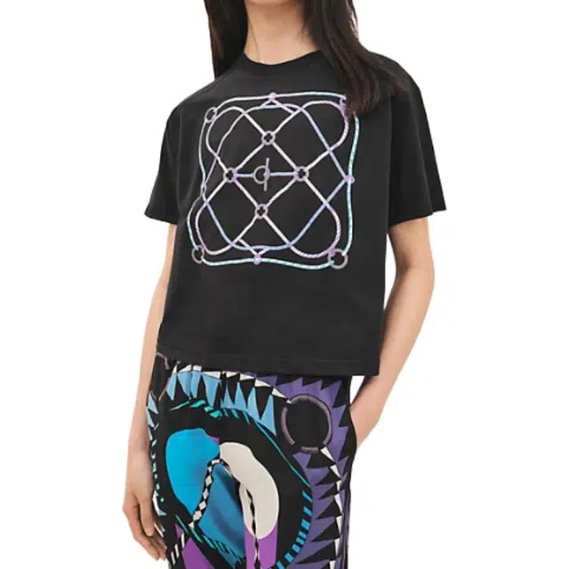 HERMES T