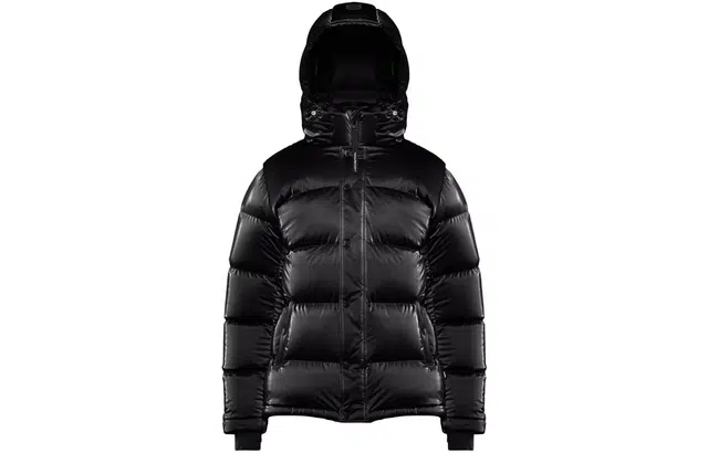 ARITZIA Super Puff Liquid Shine