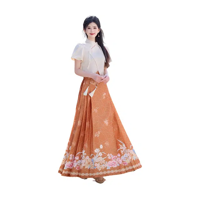 荟萃阁 新中式立领斜襟提花短袖一片式国潮半身裙裙装套装 女款