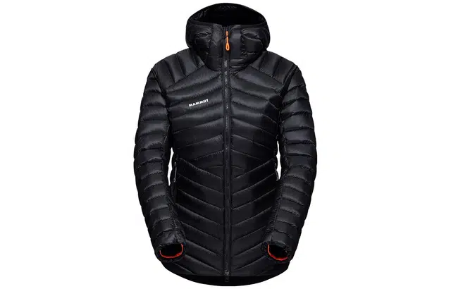 MAMMUT Broad
