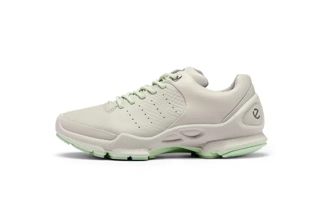 ecco Biom C