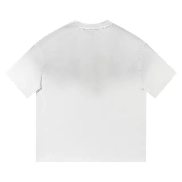 SLLAVIF T