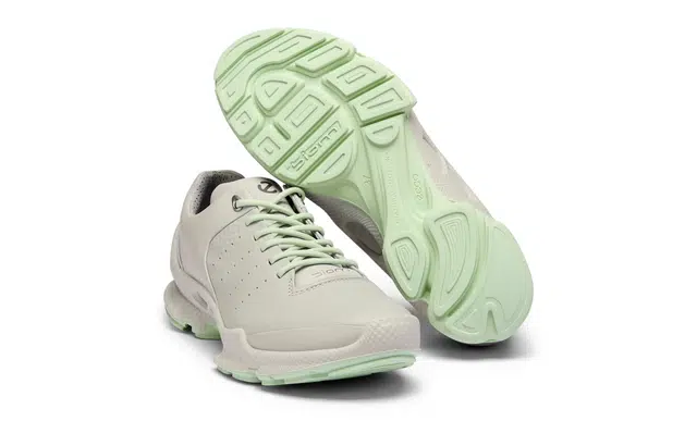 ecco Biom C