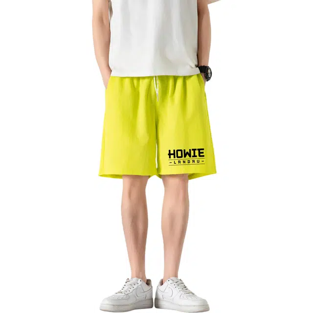 HOWIE LANDAU Logo