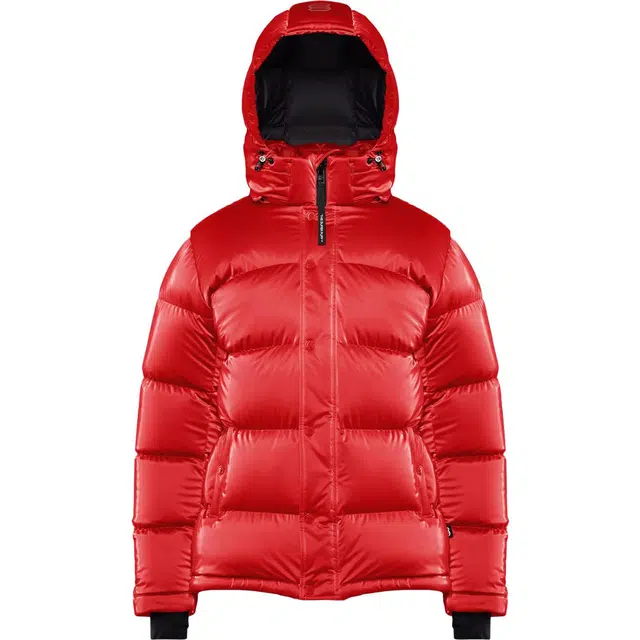 ARITZIA Super Puff Liquid Shine