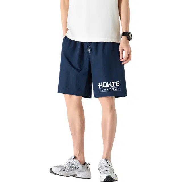 HOWIE LANDAU Logo