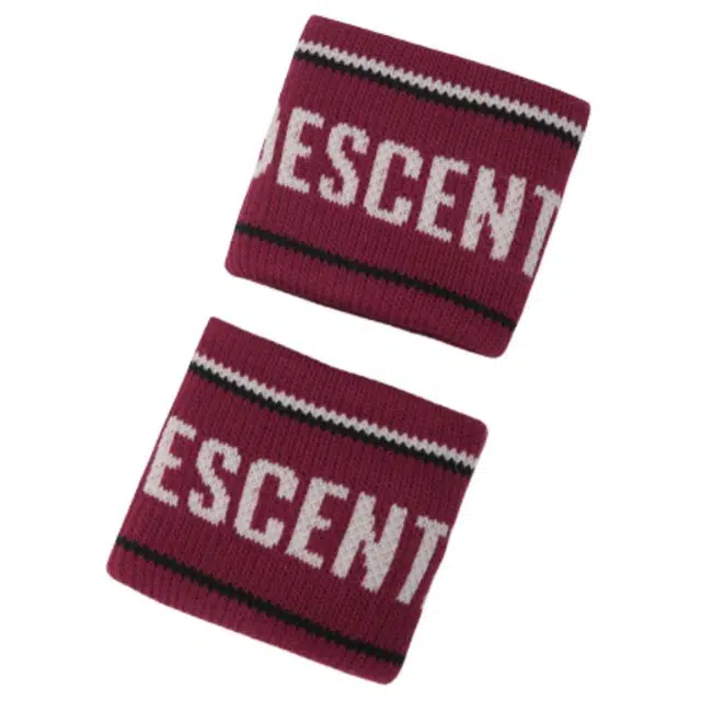 DESCENTE