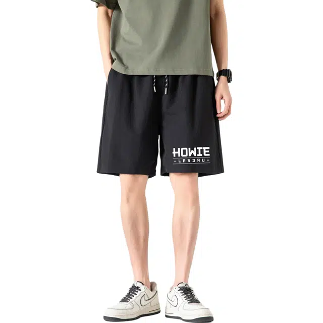 HOWIE LANDAU Logo