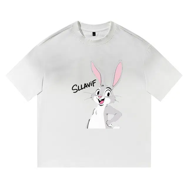 SLLAVIF T