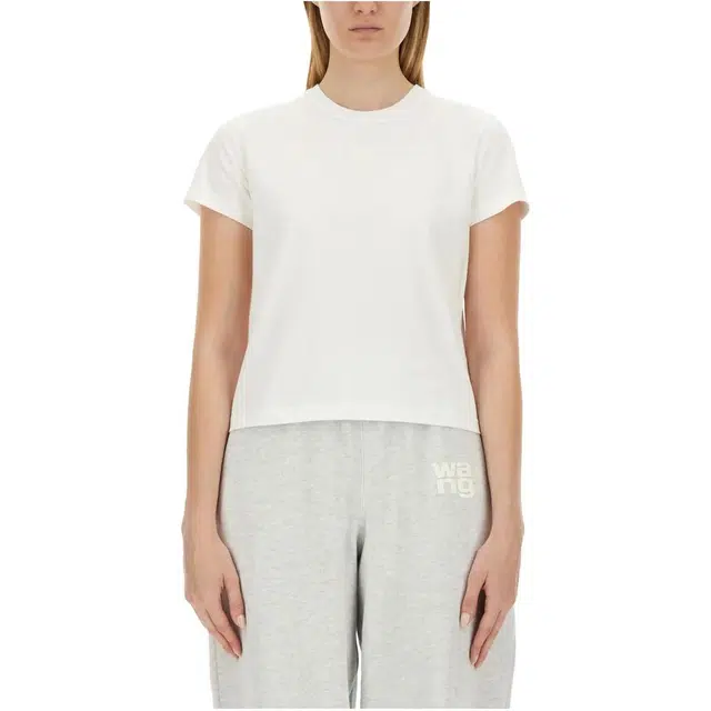 alexander wang T