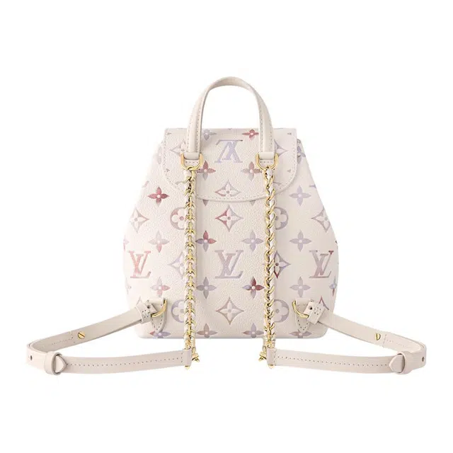 LOUIS VUITTON BACKUP