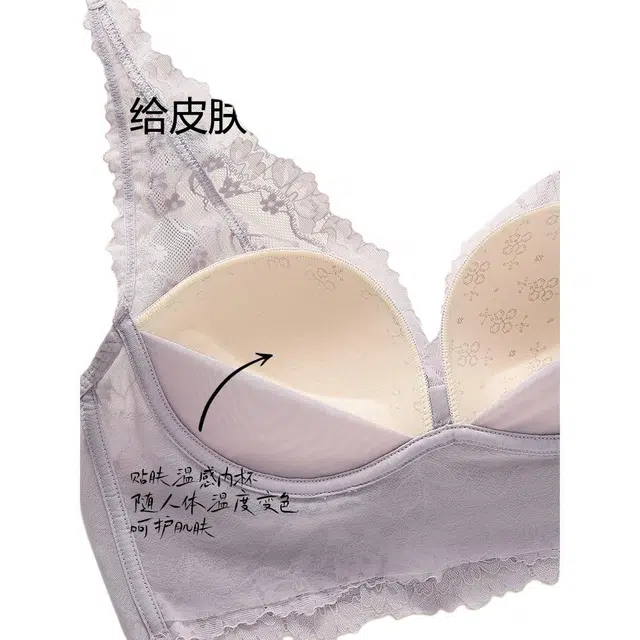 新世家族 舒适透气美背优雅文胸 女款