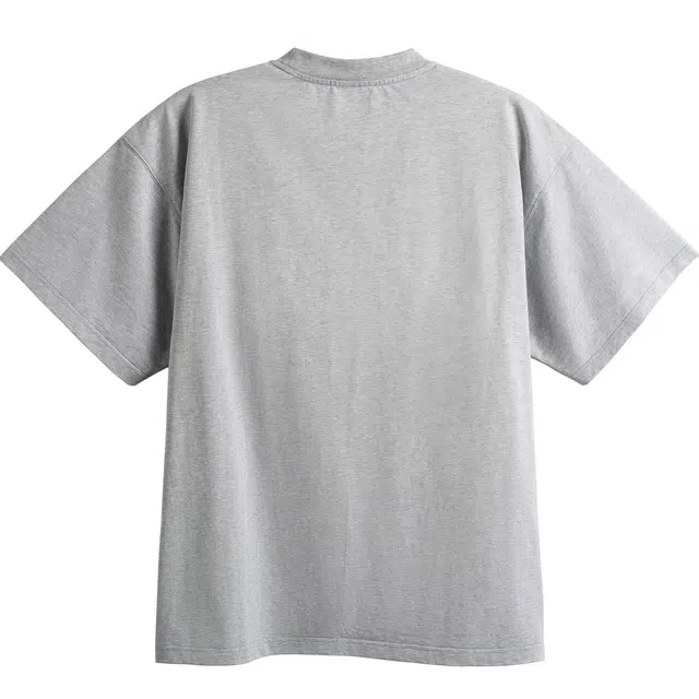 DBW DOUBLEWIN T