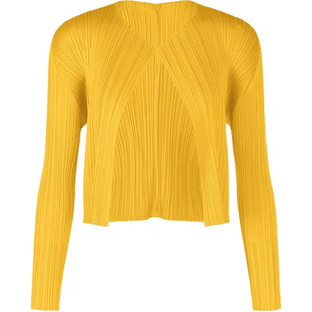 ISSEY MIYAKE FW25 V