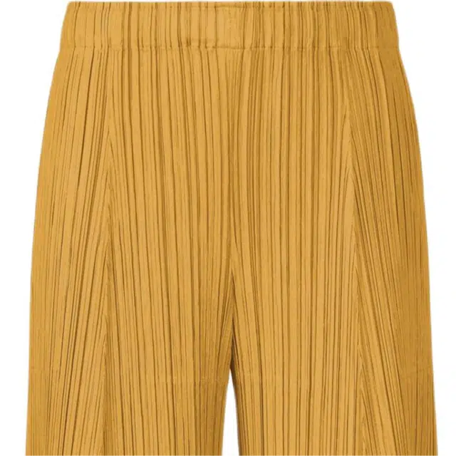 PLEATS PLEASE ISSEY MIYAKE FW25