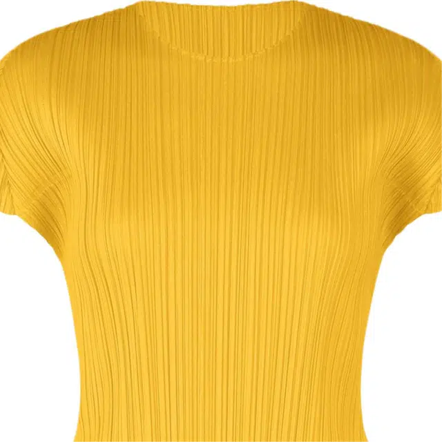 ISSEY MIYAKE FW25T