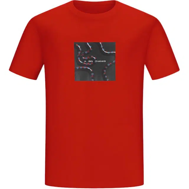 abigthanks T