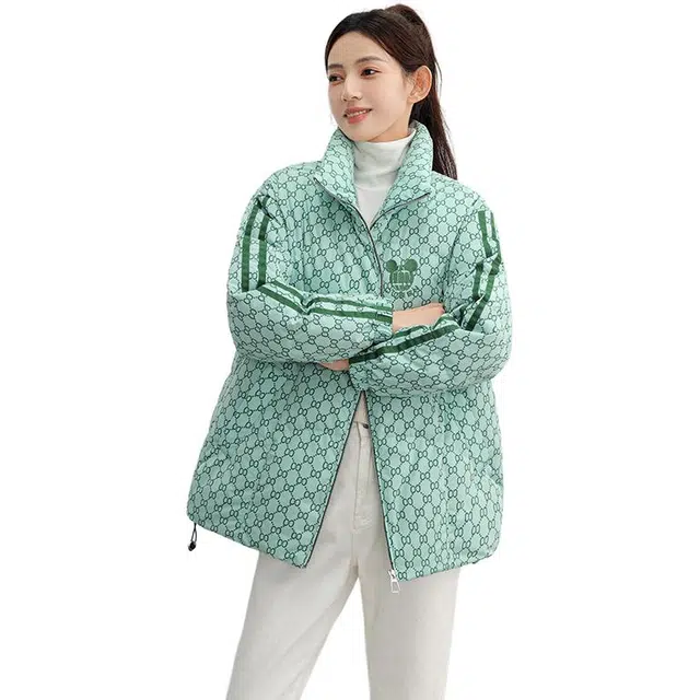 鸭鸭 花色立领合身羽绒服 女款