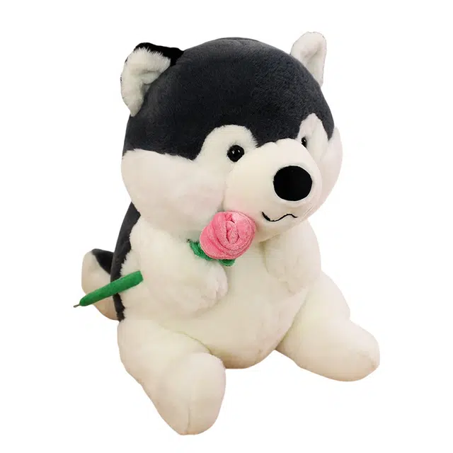JBBCN 40cm