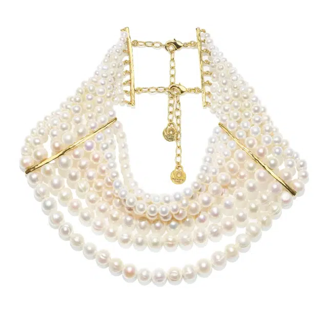 GOOSSENS GRAINE DE GEMMES