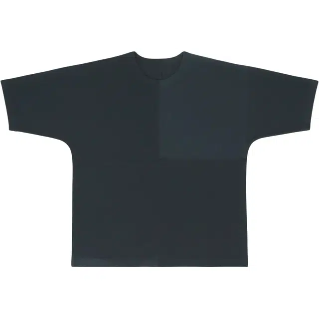 ISSEY MIYAKE FW25 T