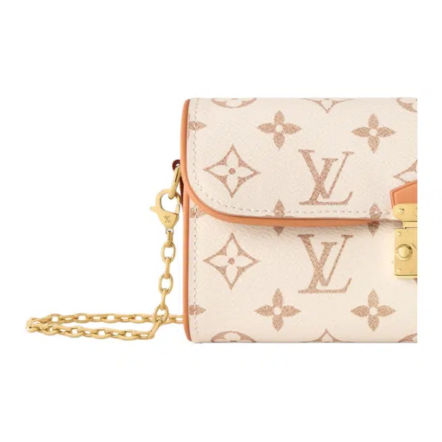 LOUIS VUITTON Pochette Camille Monogram Dune