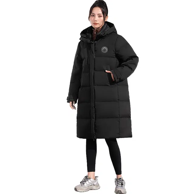 MOLY VIVI 2023