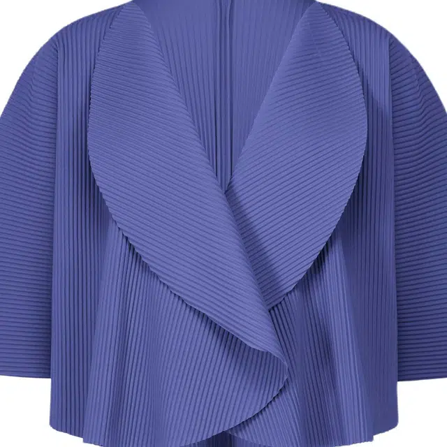ISSEY MIYAKE FW25