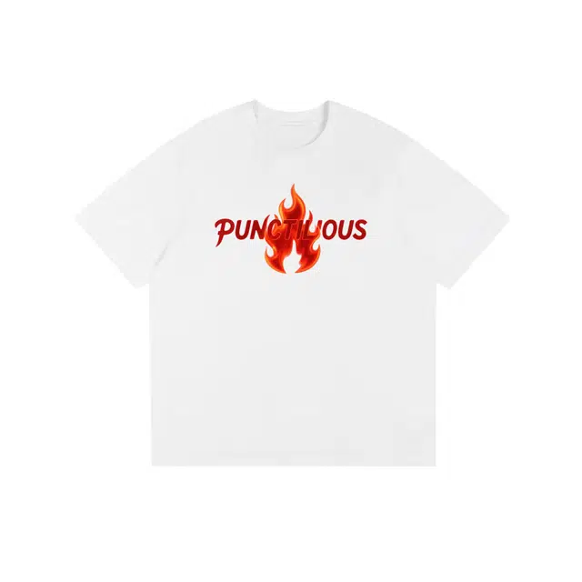 PUNCTILIOUS T
