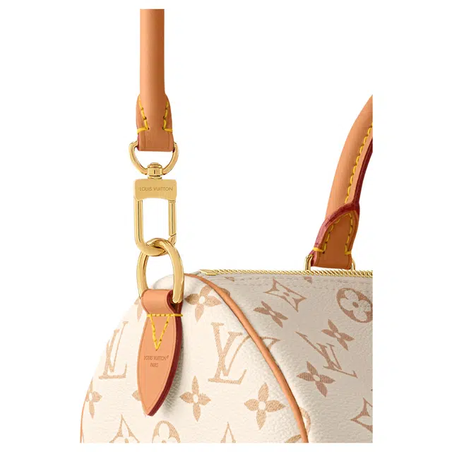 LOUIS VUITTON SPEEDY SOFT 30 LUCKY