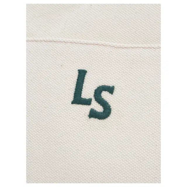 levis Tote
