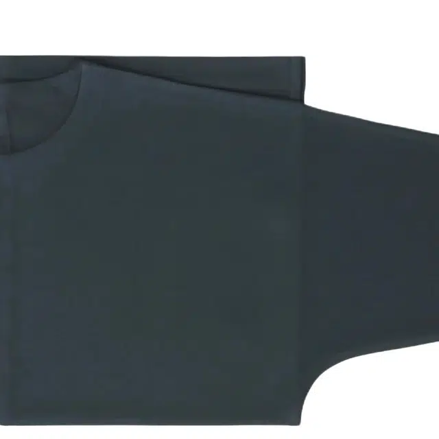 ISSEY MIYAKE FW25 T