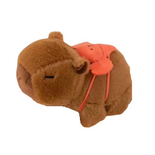 20cm