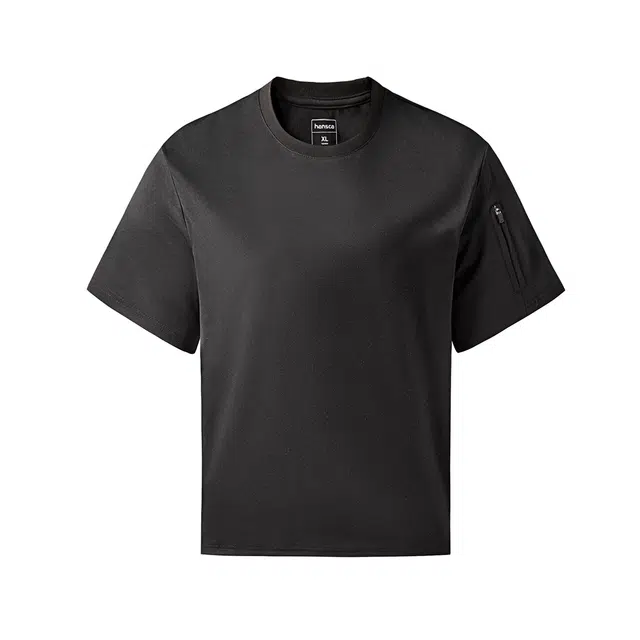 Hansca T