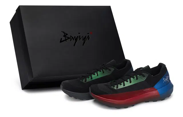 Arcteryx Norvan LD 4 811