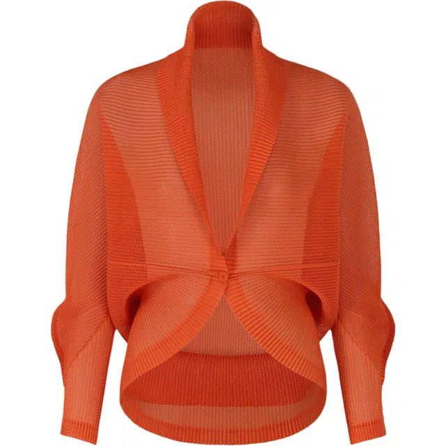 PLEATS PLEASE ISSEY MIYAKE FW25
