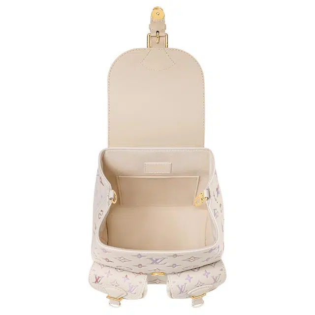 LOUIS VUITTON BACKUP