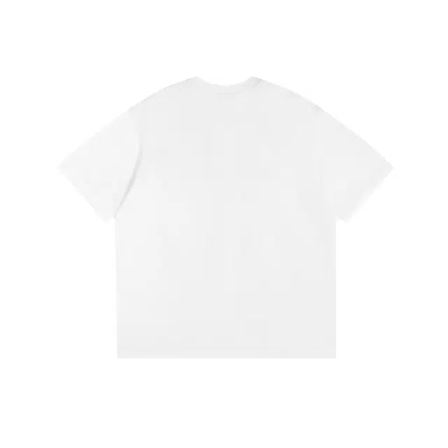PUNCTILIOUS T