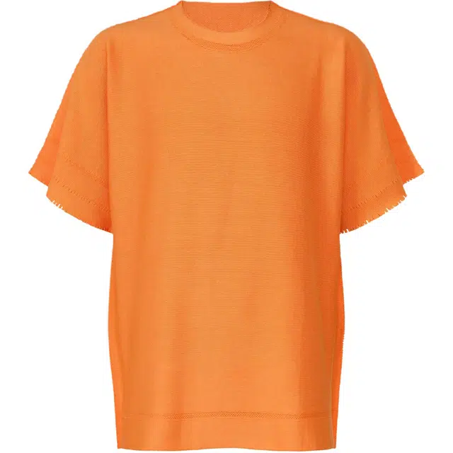 ISSEY MIYAKE FW25 T