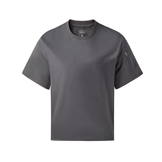 Hansca T